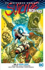 Suicide Squad Vol. 2: Going Sane (Rebirth), Volume 2 цена и информация | Фантастика, фэнтези | kaup24.ee