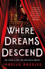 Where Dreams Descend: A Novel hind ja info | Noortekirjandus | kaup24.ee