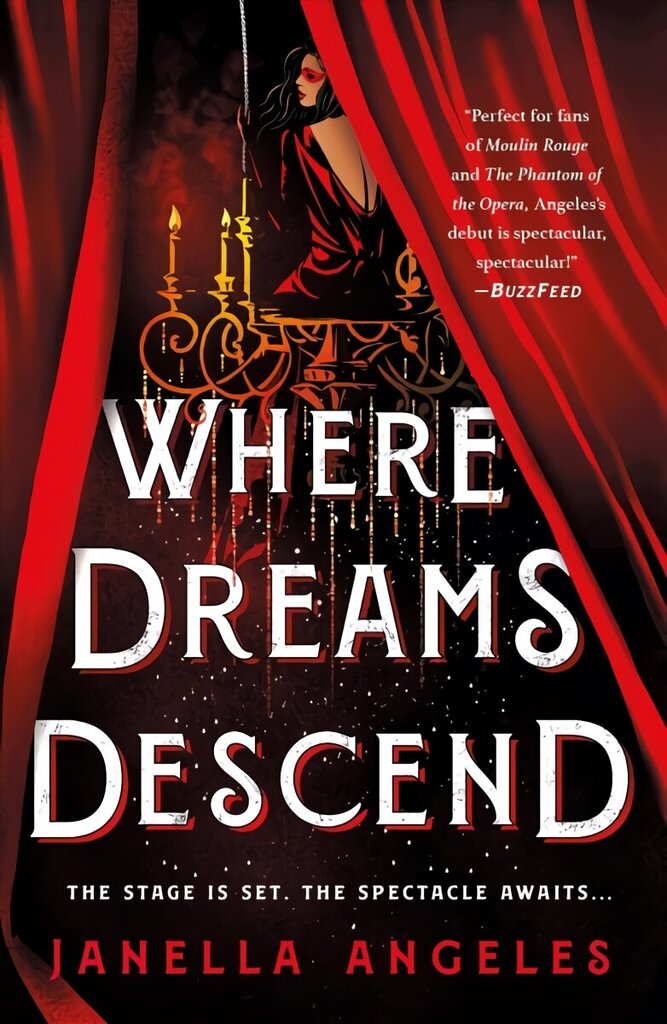 Where Dreams Descend: A Novel цена и информация | Noortekirjandus | kaup24.ee