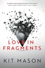 Love in Fragments цена и информация | Романы | kaup24.ee