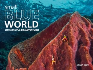 Small Blue World: Little People. Big Adventures цена и информация | Книги по фотографии | kaup24.ee