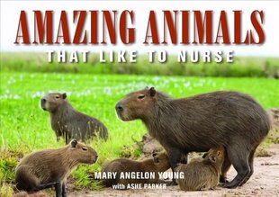 Amazing Animals: That Like to Nurse цена и информация | Самоучители | kaup24.ee