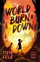 World Burn Down цена и информация | Книги для подростков и молодежи | kaup24.ee