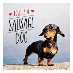 Love is a Sausage Dog цена и информация | Энциклопедии, справочники | kaup24.ee