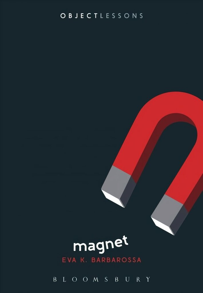 Magnet цена и информация | Ajalooraamatud | kaup24.ee