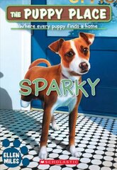 Sparky (the Puppy Place #62): Volume 62 цена и информация | Книги для подростков и молодежи | kaup24.ee