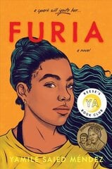 Furia цена и информация | Книги для подростков и молодежи | kaup24.ee