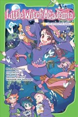 Little Witch Academia (light novel): The Nonsensical Witch and the Country of the Fairies hind ja info | Noortekirjandus | kaup24.ee