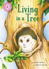 Reading Champion: Living in a Tree: Independent Reading Non-Fiction Pink 1a цена и информация | Книги для подростков и молодежи | kaup24.ee