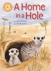 Reading Champion: A Home in a Hole: Independent Reading Orange 6 Non-fiction цена и информация | Книги для подростков и молодежи | kaup24.ee