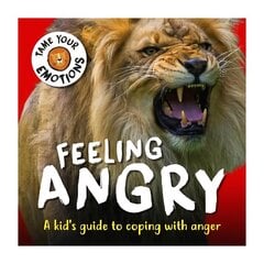 Tame Your Emotions: Feeling Angry hind ja info | Noortekirjandus | kaup24.ee