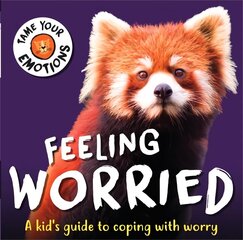 Tame Your Emotions: Feeling Worried цена и информация | Книги для подростков и молодежи | kaup24.ee