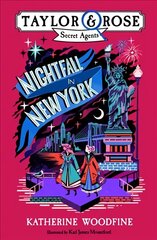 Nightfall in New York hind ja info | Noortekirjandus | kaup24.ee