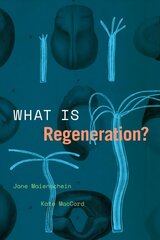 What Is Regeneration? 1 hind ja info | Majandusalased raamatud | kaup24.ee