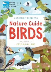 RSPB Nature Guide: Birds: A Big Garden Birdwatch Book hind ja info | Noortekirjandus | kaup24.ee
