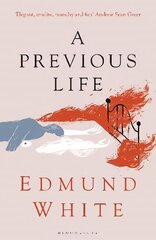 Previous Life: Another Posthumous Novel цена и информация | Фантастика, фэнтези | kaup24.ee