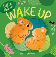 Wake Up цена и информация | Книги для подростков и молодежи | kaup24.ee