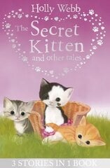 Secret Kitten and Other Tales hind ja info | Noortekirjandus | kaup24.ee