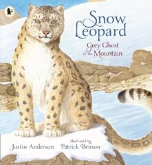 Snow Leopard: Grey Ghost of the Mountain hind ja info | Noortekirjandus | kaup24.ee