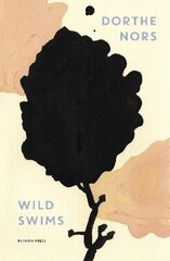 Wild Swims: Stories hind ja info | Fantaasia, müstika | kaup24.ee