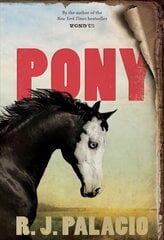 Pony hind ja info | Noortekirjandus | kaup24.ee