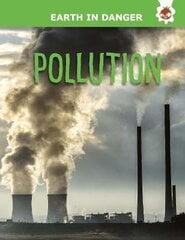 Pollution: Earth In Danger hind ja info | Noortekirjandus | kaup24.ee