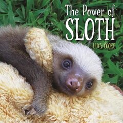 Power of Sloth hind ja info | Noortekirjandus | kaup24.ee