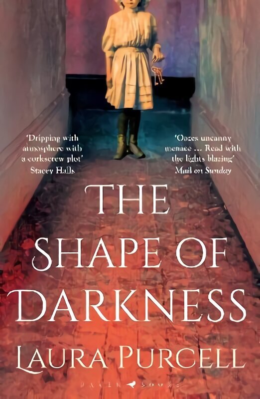 Shape of Darkness: 'A future gothic classic' Martyn Waites цена и информация | Fantaasia, müstika | kaup24.ee