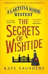 Secrets of Wishtide цена и информация | Фантастика, фэнтези | kaup24.ee