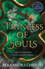 Princess of Souls: from the author of To Kill a Kingdom, the TikTok sensation! цена и информация | Книги для подростков и молодежи | kaup24.ee