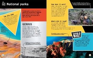Think Big!: The Greatest Ideas in Conservation цена и информация | Книги для подростков и молодежи | kaup24.ee