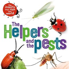 Insects that Run Our World: The Helpers and the Pests цена и информация | Книги для подростков и молодежи | kaup24.ee