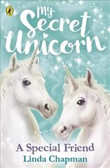 My Secret Unicorn: A Special Friend цена и информация | Книги для подростков и молодежи | kaup24.ee