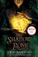 Shadow and Bone hind ja info | Noortekirjandus | kaup24.ee