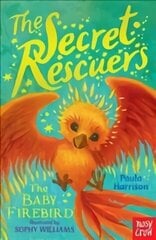 Secret Rescuers: The Baby Firebird hind ja info | Lasteraamatud | kaup24.ee