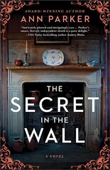 The Secret in the Wall: A Novel цена и информация | Фантастика, фэнтези | kaup24.ee