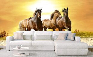 Фотообои - Лошади на закате 375x250 см цена и информация | Фотообои | kaup24.ee
