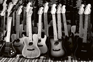 Фотообои - Коллекция гитар 375x250 см цена и информация | Фотообои | kaup24.ee