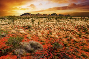 Fototapeet - Austraalia maastik 375x250 cm цена и информация | Фотообои | kaup24.ee