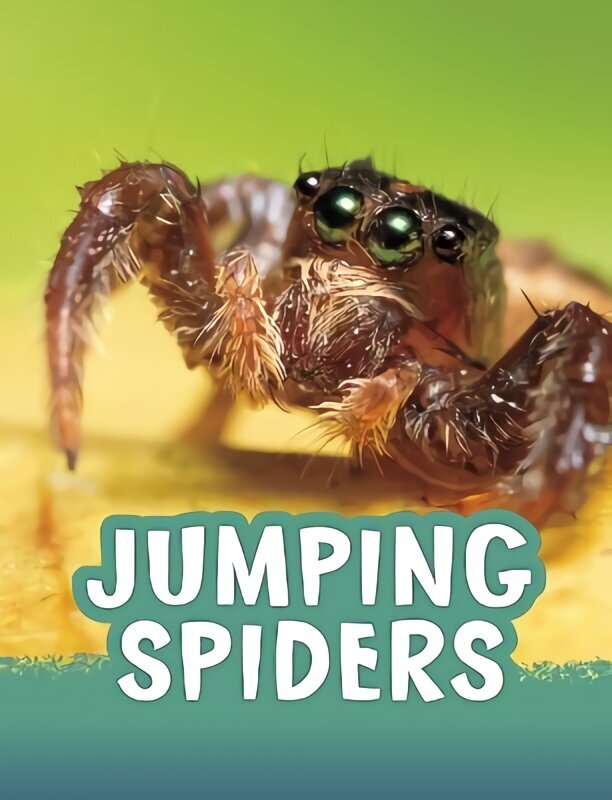 Jumping Spiders hind ja info | Noortekirjandus | kaup24.ee