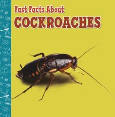 Fast Facts About Cockroaches цена и информация | Книги для подростков и молодежи | kaup24.ee