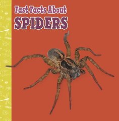 Fast Facts About Spiders hind ja info | Noortekirjandus | kaup24.ee