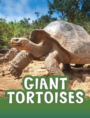 Giant Tortoises цена и информация | Книги для подростков и молодежи | kaup24.ee