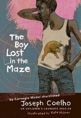 Boy Lost in the Maze цена и информация | Книги для подростков и молодежи | kaup24.ee