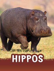 Hippos hind ja info | Noortekirjandus | kaup24.ee