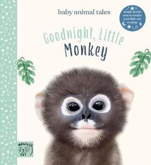 Goodnight, Little Monkey: Simple stories sure to soothe your little one to sleep цена и информация | Книги для подростков и молодежи | kaup24.ee