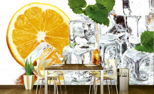 Фотообои - Лимон и лед 375x250 см цена и информация | Фотообои | kaup24.ee
