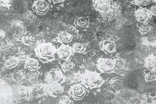 Фотообои - Серые розы 375x250 см цена и информация | Фотообои | kaup24.ee