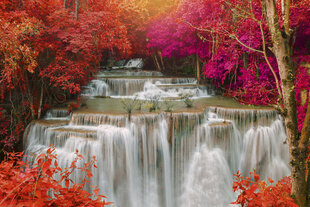Фотообои - Лесной водопад  375x250 см цена и информация | Фотообои | kaup24.ee