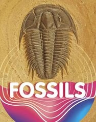 Fossils цена и информация | Книги для подростков и молодежи | kaup24.ee